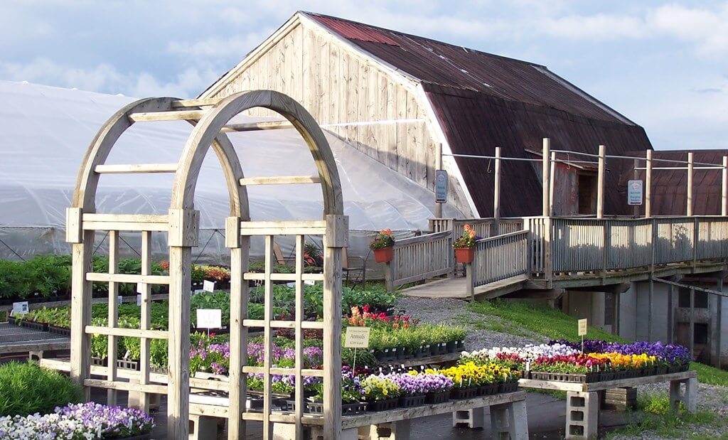 Barn with flowers and greenhouse