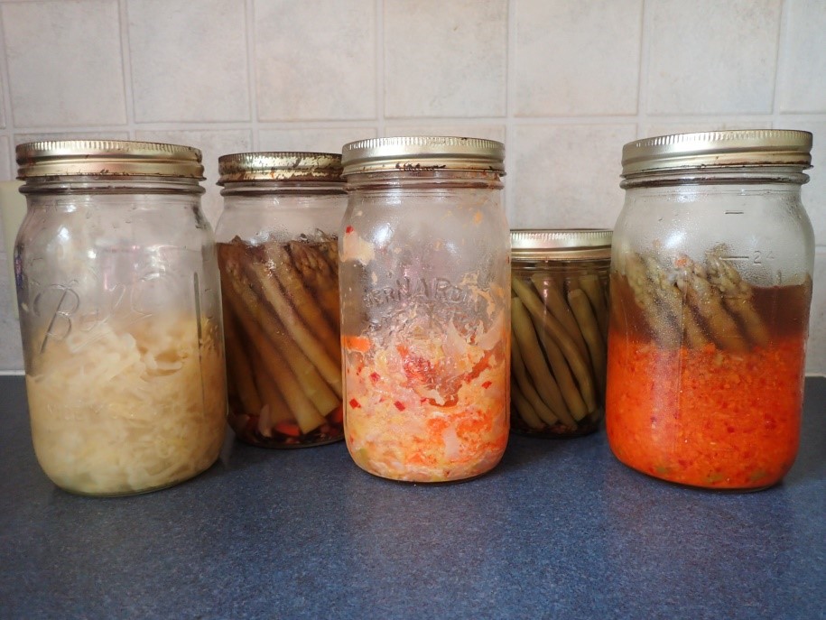 Half-filled jars of “pickles” from the author’s refrigerator: sauerkraut, pickled asparagus, cabbage kimchi, dilly beans, asparagus kimchi.