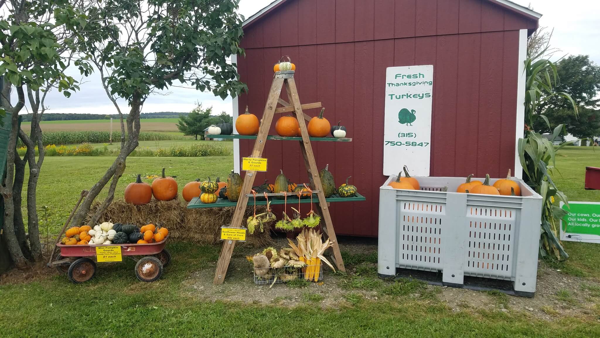 Display outside of farm stand in the fall