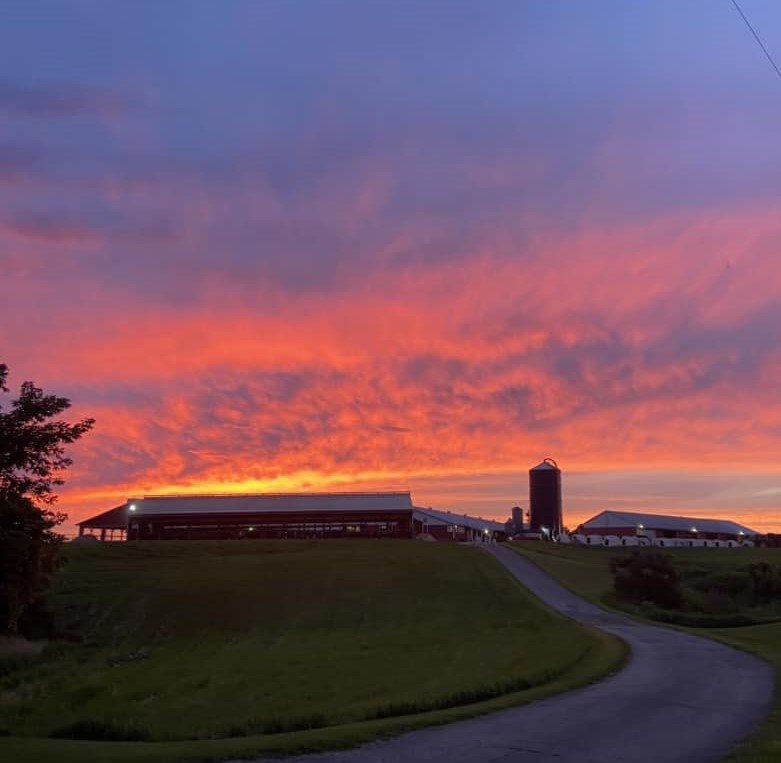 Farm at dusk