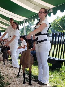 Hannah showing goat