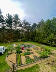 garden plot