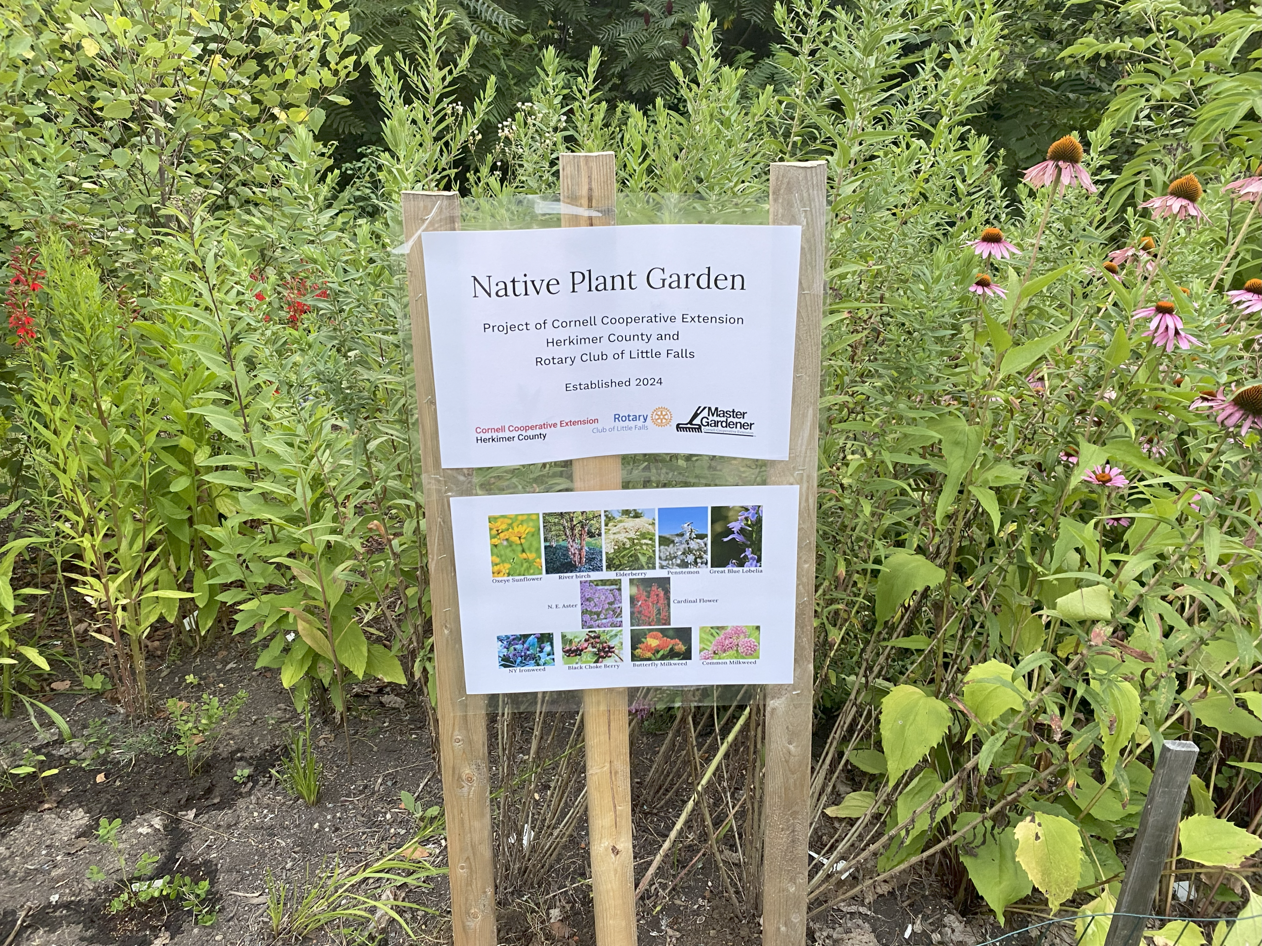 signs with information about pollinators