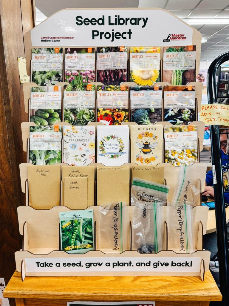 Seed library display