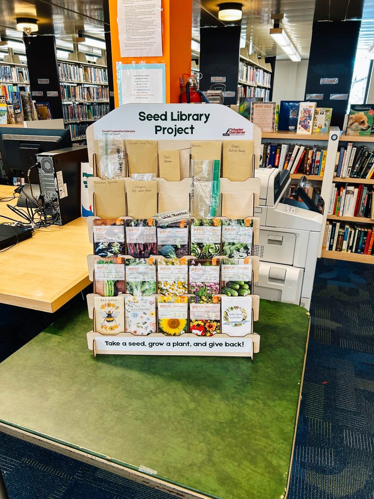 Seed library display on table