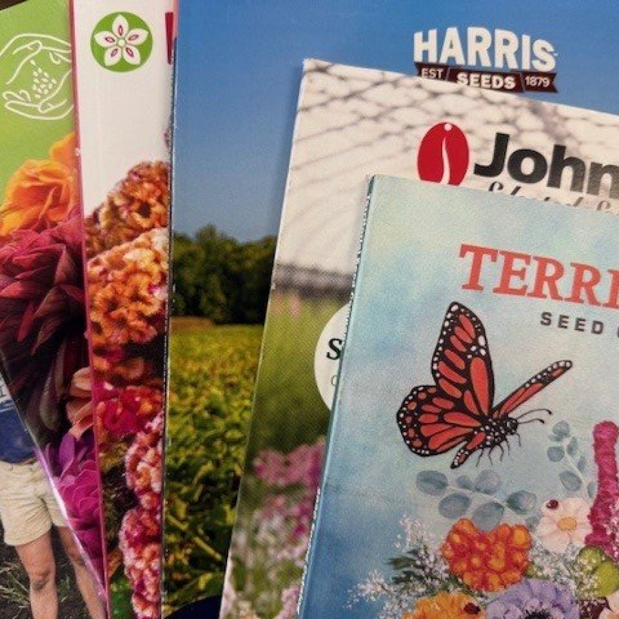 seed catalogs fanned out