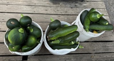 Squash in buckets