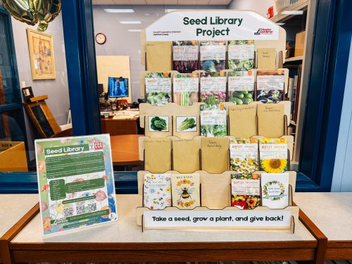 seed library display on counter