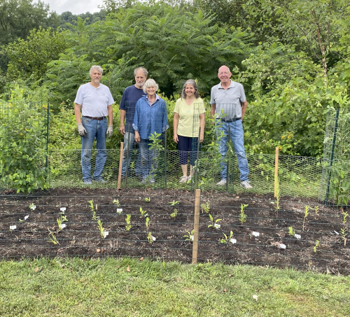 volunteers in back of garden