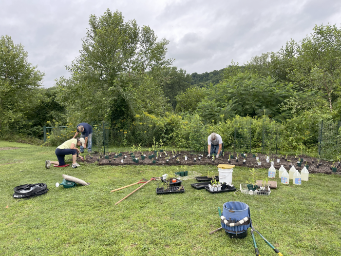 volunteers working in garden