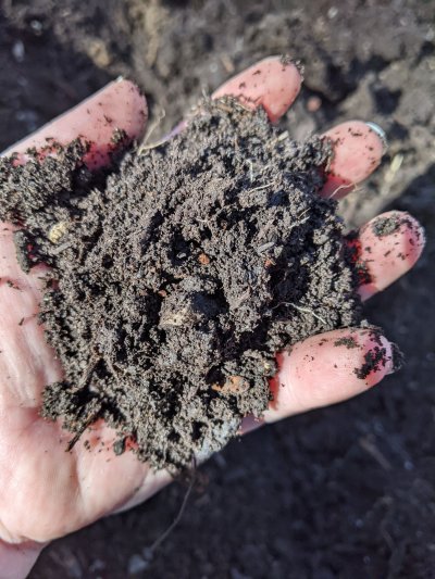 Soil After Composting resized