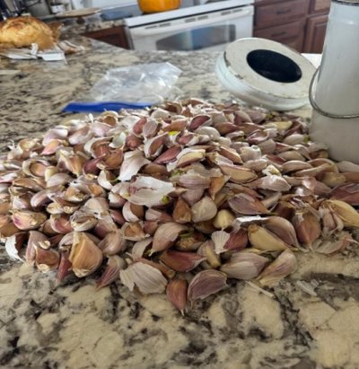 peeled garlic sitting on counter
