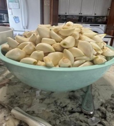peeled garlic in bowl