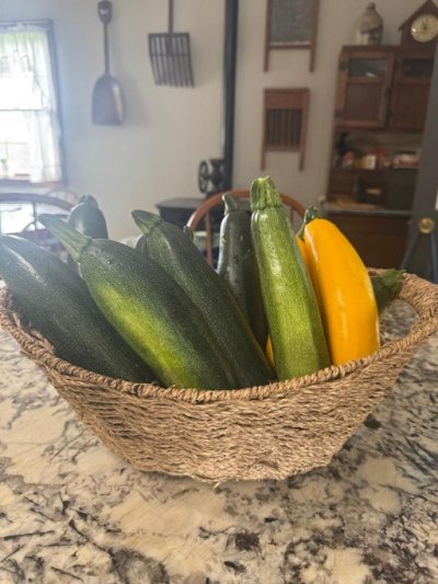 Zucchini in basket on kitchen counter.